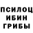 Псилоцибиновые грибы GOLDEN TEACHER Olga Woon