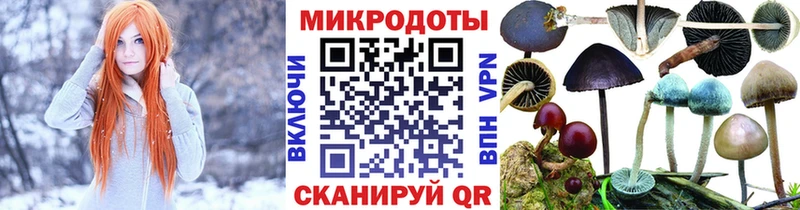 Псилоцибиновые грибы прущие грибы  сколько стоит  гидра как зайти  Новый Оскол 