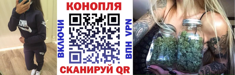 где можно купить   Новый Оскол  Бошки марихуана индика 